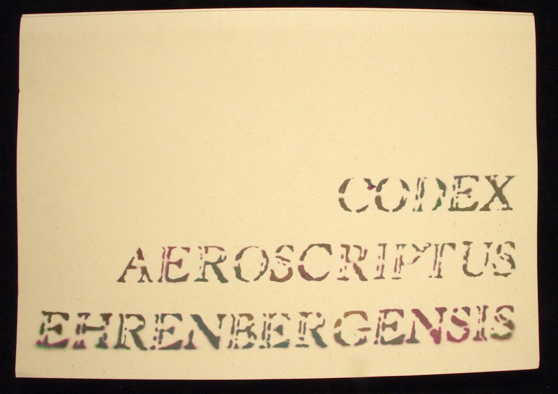 Uncatologed Codex Aeroscriptus Ehrenbergensis by Felipe Ehrenberg By means of manipulating stencils that were hand-cut for over a period 20 years, Mexican artist Felipe Ehrenberg creates a codex of the glyphs of contemporary life and culture. The result is a highly visual pre-Columbian, hard-boiled detective story. shot with digital Canon EOS 30D @600dpi date 8-21-07