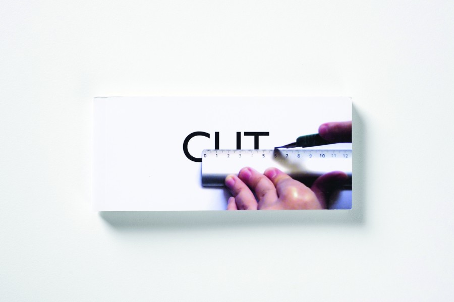 cut-website-01